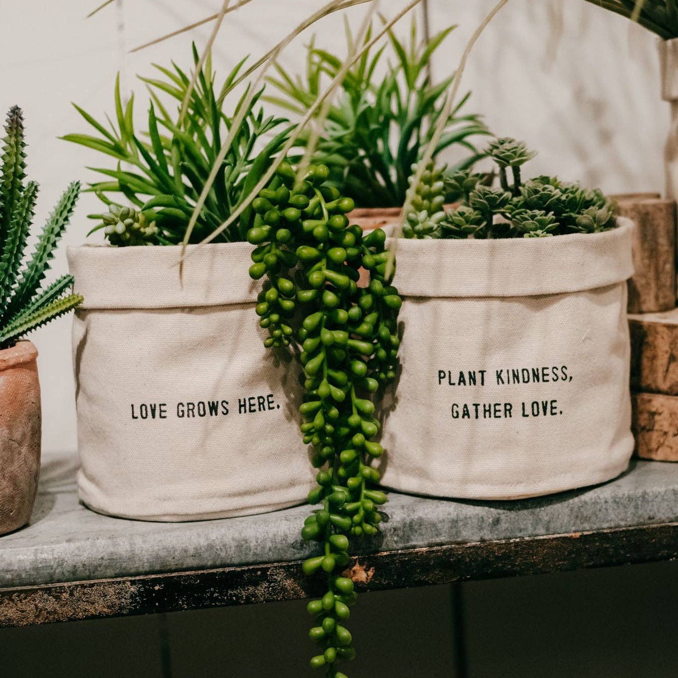 Love Grows Here | Small Canvas Planter