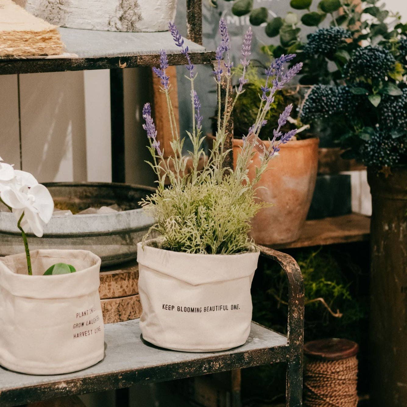 Keep Blooming Beautiful One | Large Canvas Planter