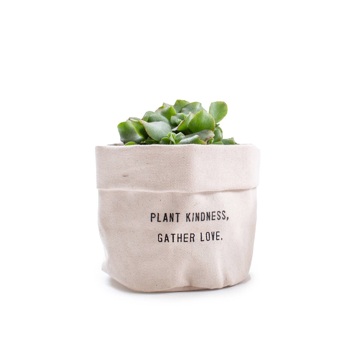 Plant Kindness Gather Love | Small Canvas Planter