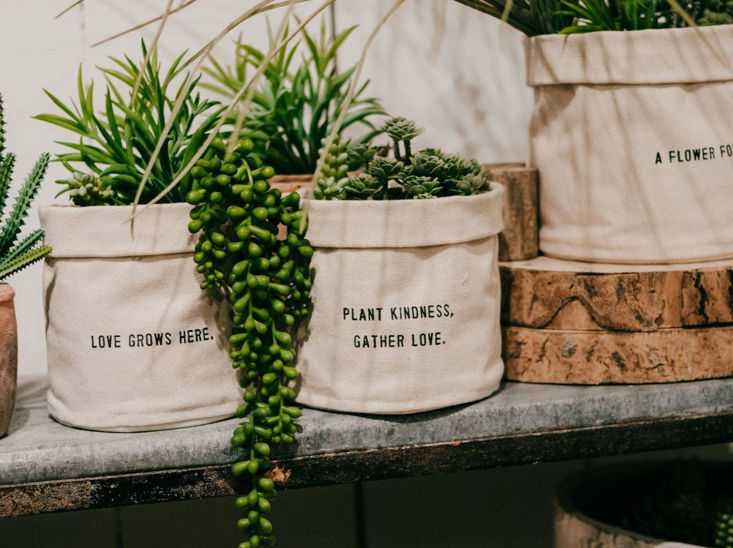 Plant Kindness Gather Love | Small Canvas Planter
