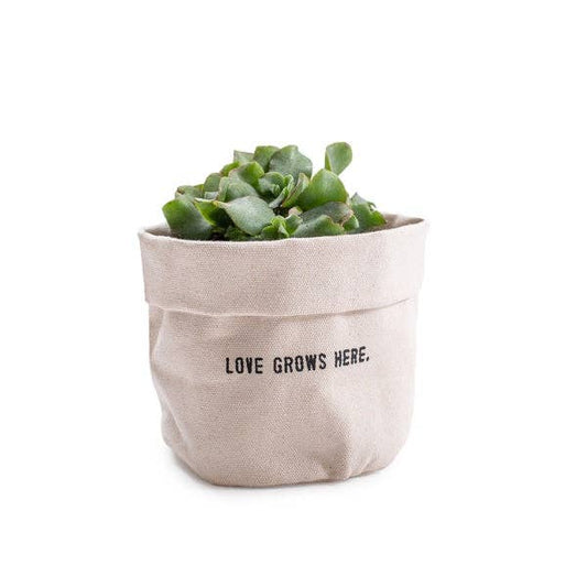 Love Grows Here | Small Canvas Planter